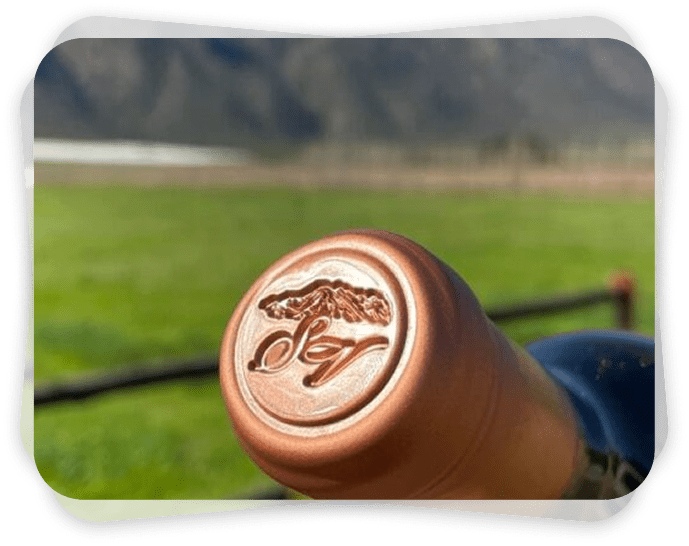 Group 1000002189 min