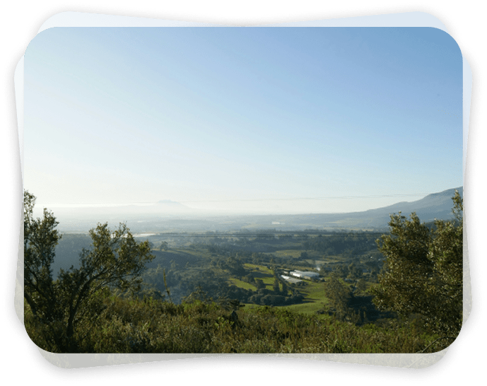 Group 1000002194 min